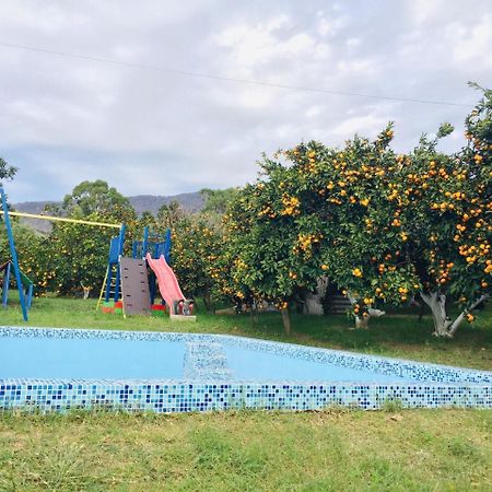 Holiday Home New Athos Εξωτερικό φωτογραφία