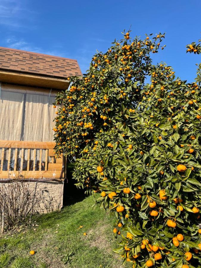 Holiday Home New Athos Εξωτερικό φωτογραφία
